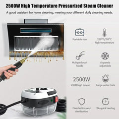 2500W Portable Steam Cleaner High Temperature Sterilization Pressure
