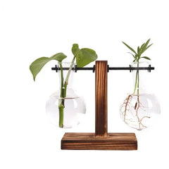 Hydroponic Plant Terrarium Vasevase Decoration