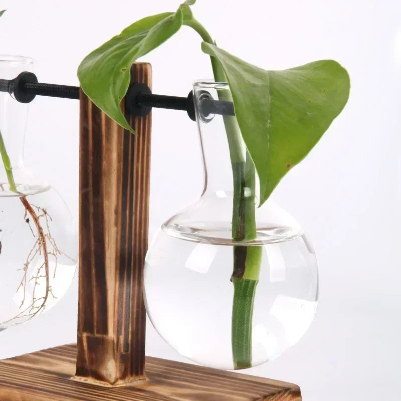 Hydroponic Plant Terrarium Vasevase Decoration