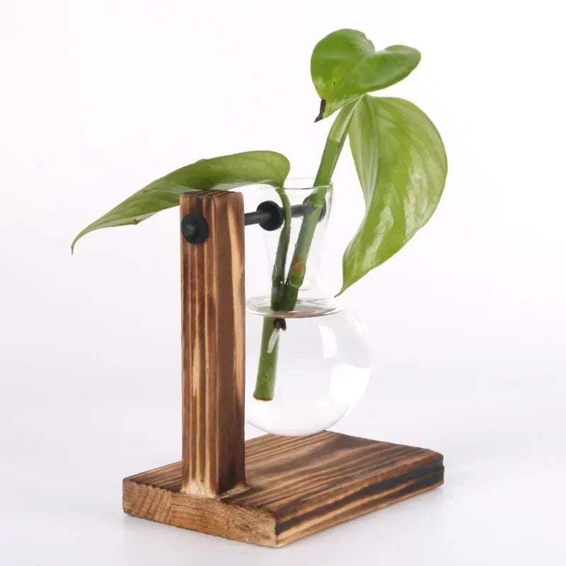 Hydroponic Plant Terrarium Vasevase Decoration