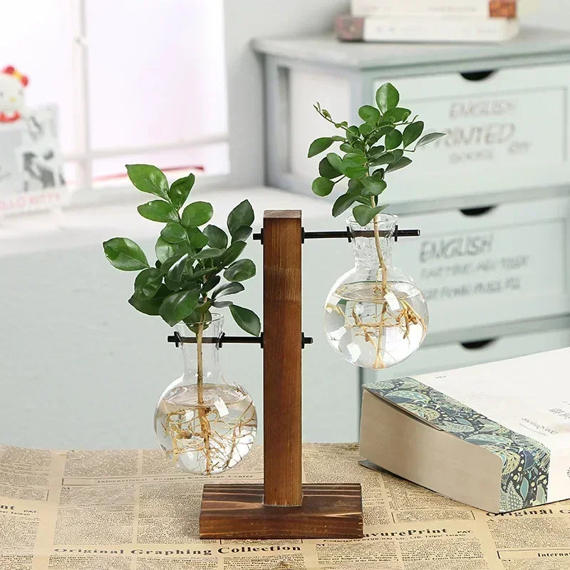 Hydroponic Plant Terrarium Vasevase Decoration