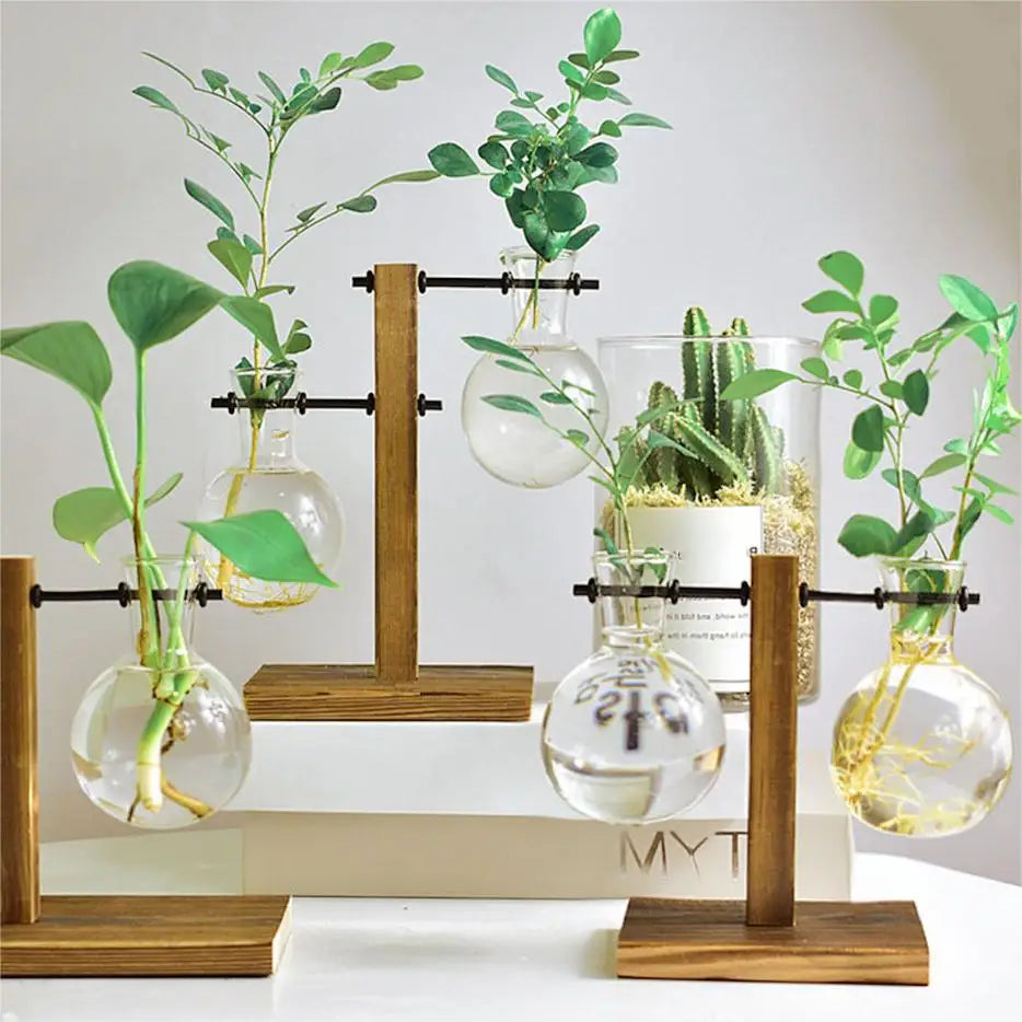 Creative Glass Desktop Planter Bulb Vase Wooden Stand Hydroponic Plant Container Decor