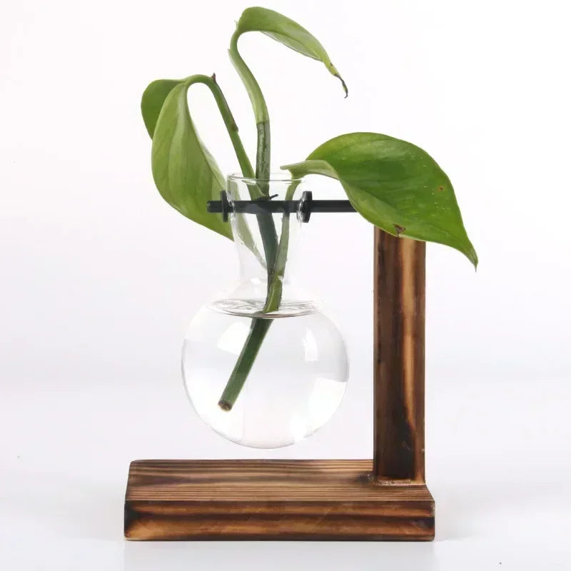 Hydroponic Plant Terrarium Vasevase Decoration