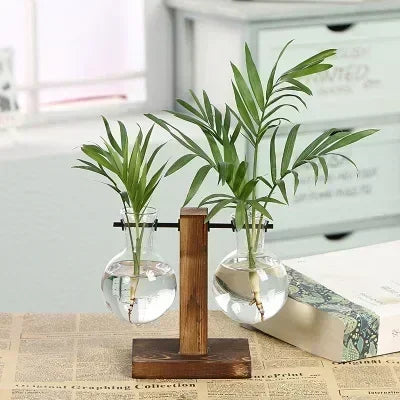 Hydroponic Plant Terrarium Vasevase Decoration